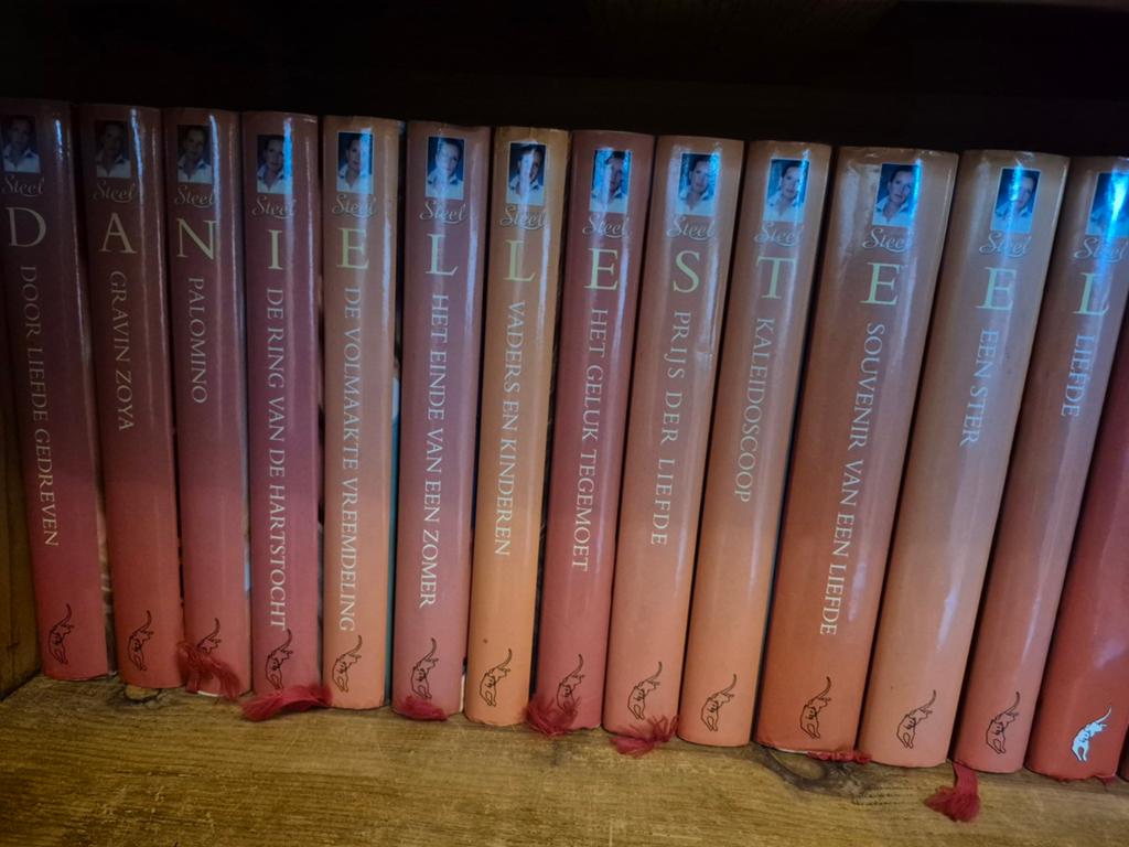 Danielle steel, Boeken, Romans, Ophalen of Verzenden, Zo goed als nieuw, Danielle Steel