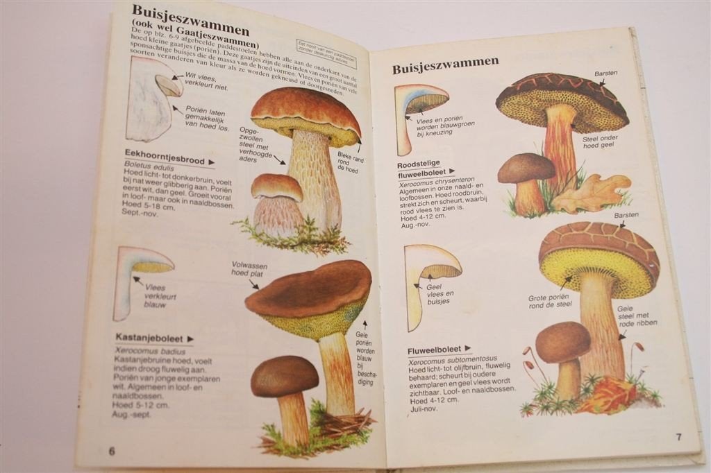 Natuurwijzer: Paddestoelen — Vinden en Herkennen, Ophalen of Verzenden, Gelezen, Vogels