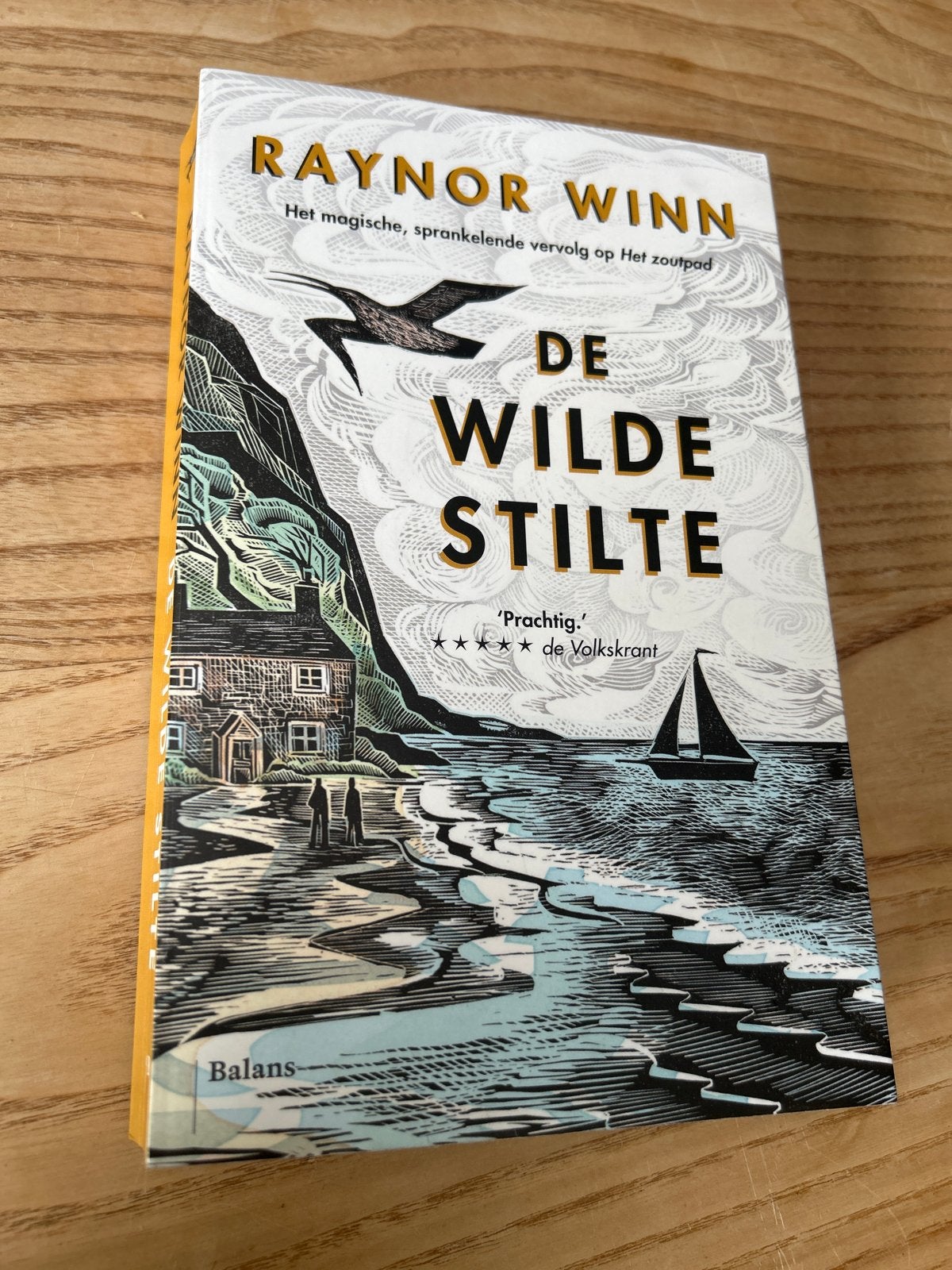 De Wilde Stilte - Raynor Winn, Ophalen of Verzenden, Zo goed als nieuw, Nederland