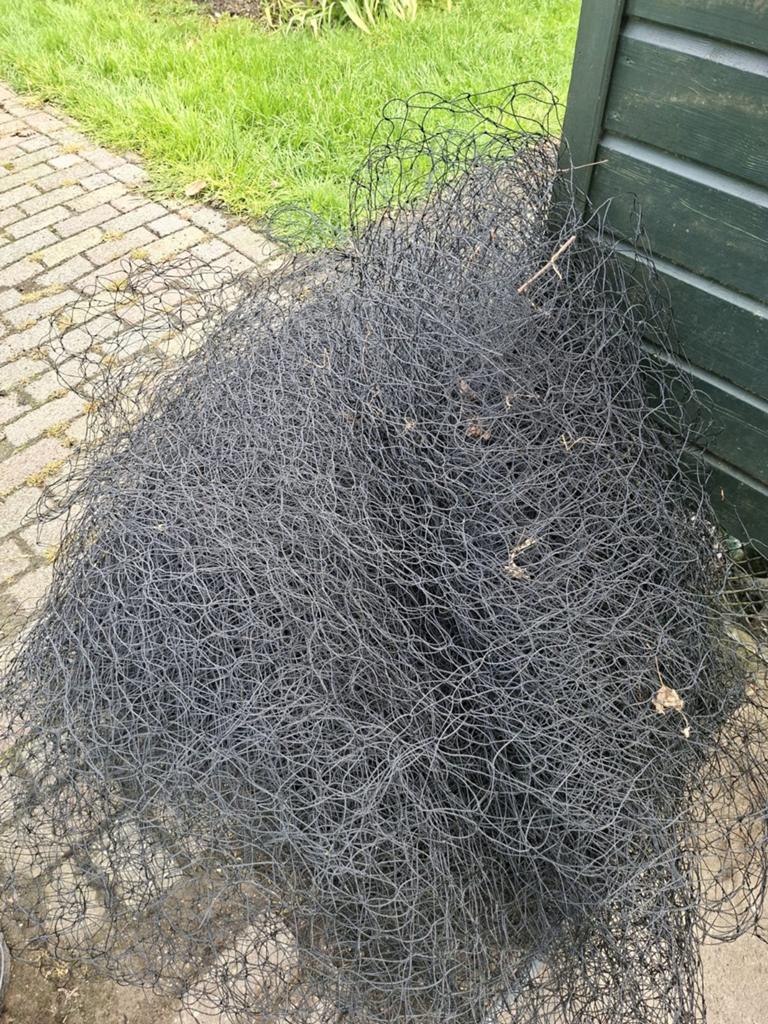 Pluimvee net, Kip