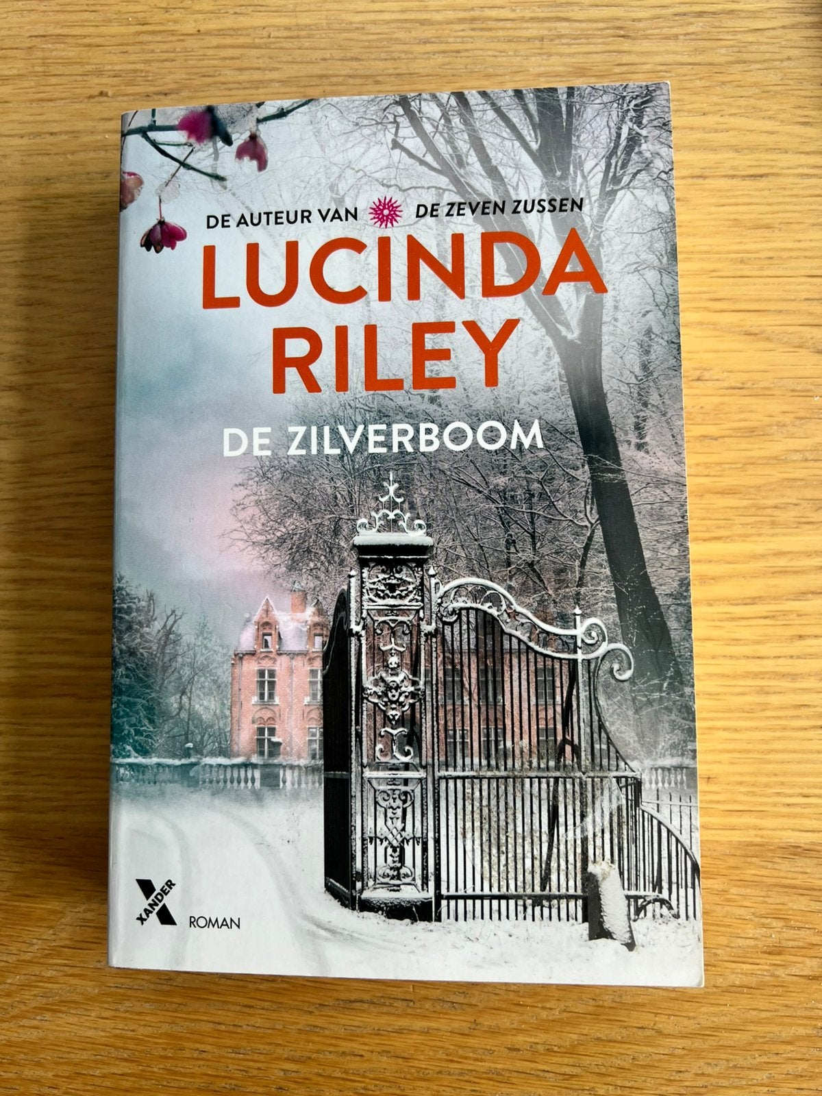 De Zilverboom - Lucinda Riley, Boeken, Ophalen of Verzenden, Zo goed als nieuw