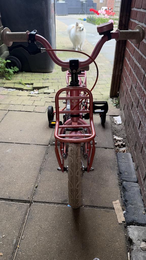 Loekie Princess meisjesfiets, Fietsen en Brommers, Fietsen | Meisjes, Ophalen, Gebruikt, 16 inch, Handrem