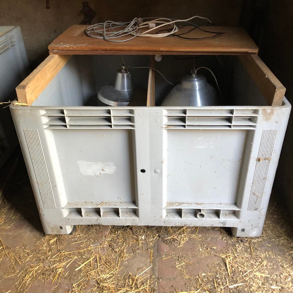Kuiken opfokhokken palletbox, Dieren en Toebehoren, Pluimvee | Toebehoren, Gebruikt, Kippenhok of Kippenren, Ophalen