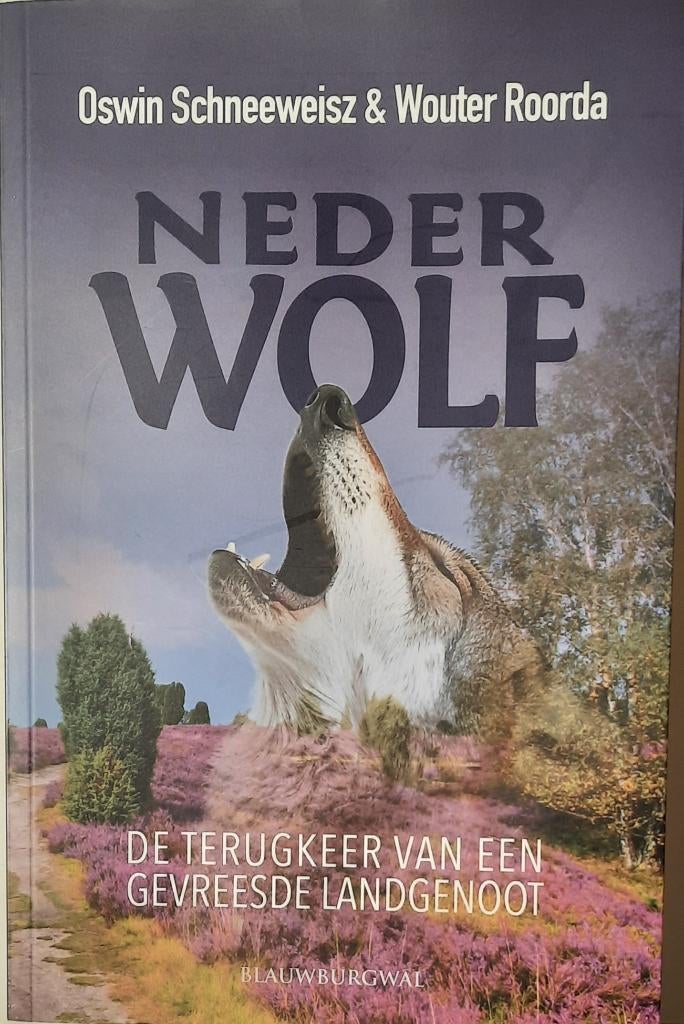 Schneeweisz, Roorda - Nederwolf, Blauwburgwal, 1e druk 2025, Maatschappij en Samenleving, Nieuw, Ophalen of Verzenden, Nederland