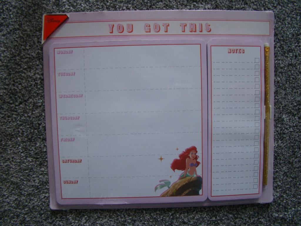 Superleuke DISNEY weekplanner / NIEUW in plastic, Ophalen of Verzenden, Nieuw