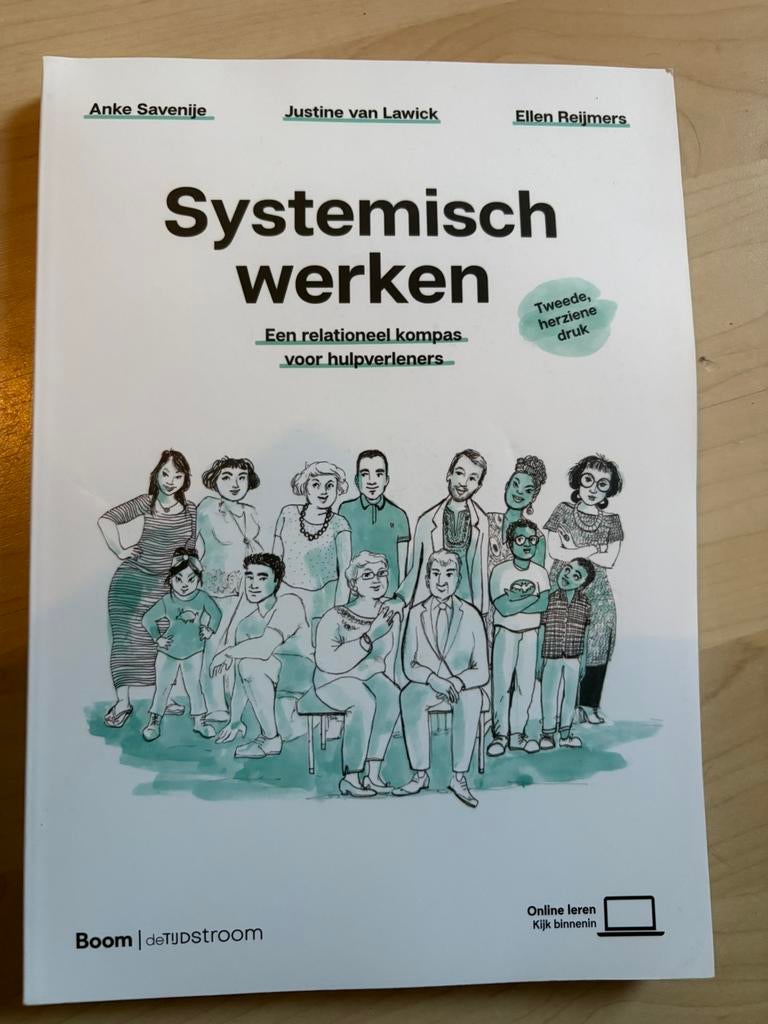Systemisch werken, Ophalen of Verzenden, Beta, Zo goed als nieuw, HBO