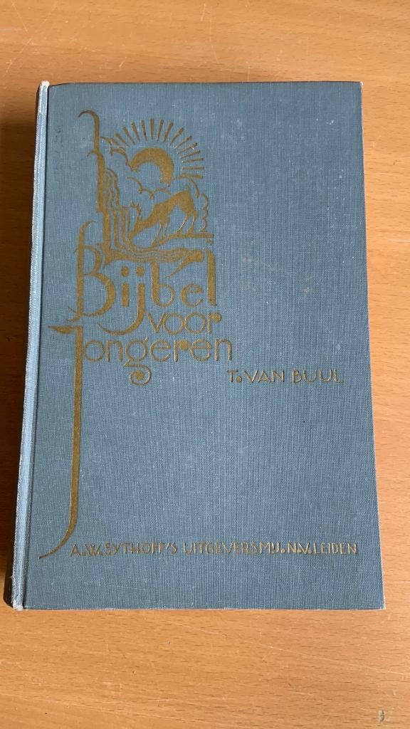 Bijbel voor jongeren - T. Van Buul, Boeken, Godsdienst en Theologie, Ophalen of Verzenden, Zo goed als nieuw