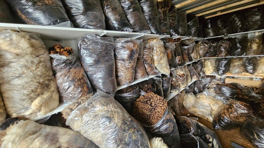 Schapenwol tuinwol, isolatie decoratie, Dieren en Toebehoren, Schapen, Geiten en Varkens, Meerdere dieren, Schaap