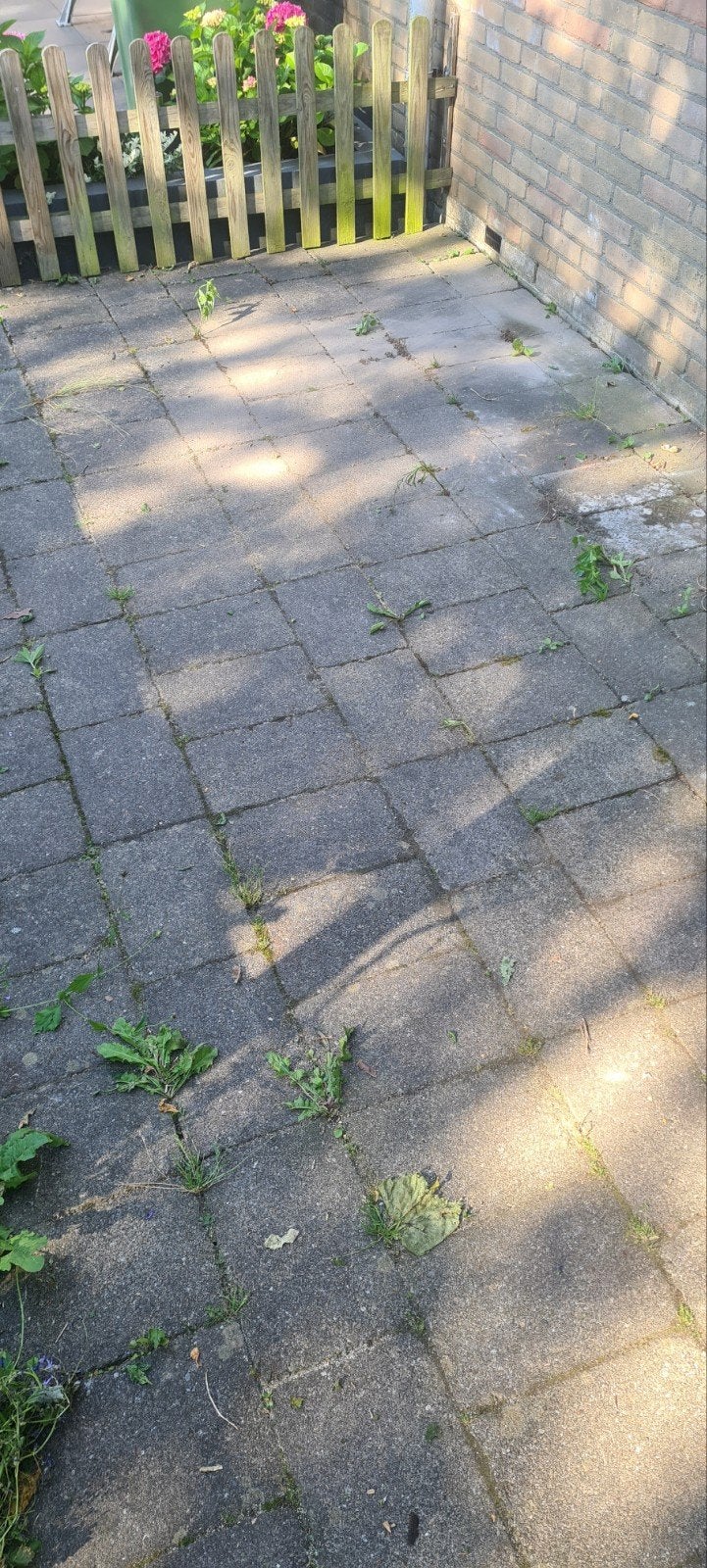 Tuin tegels, Tuin en Terras, Ophalen of Verzenden, Gebruikt, Beton, Terrastegels