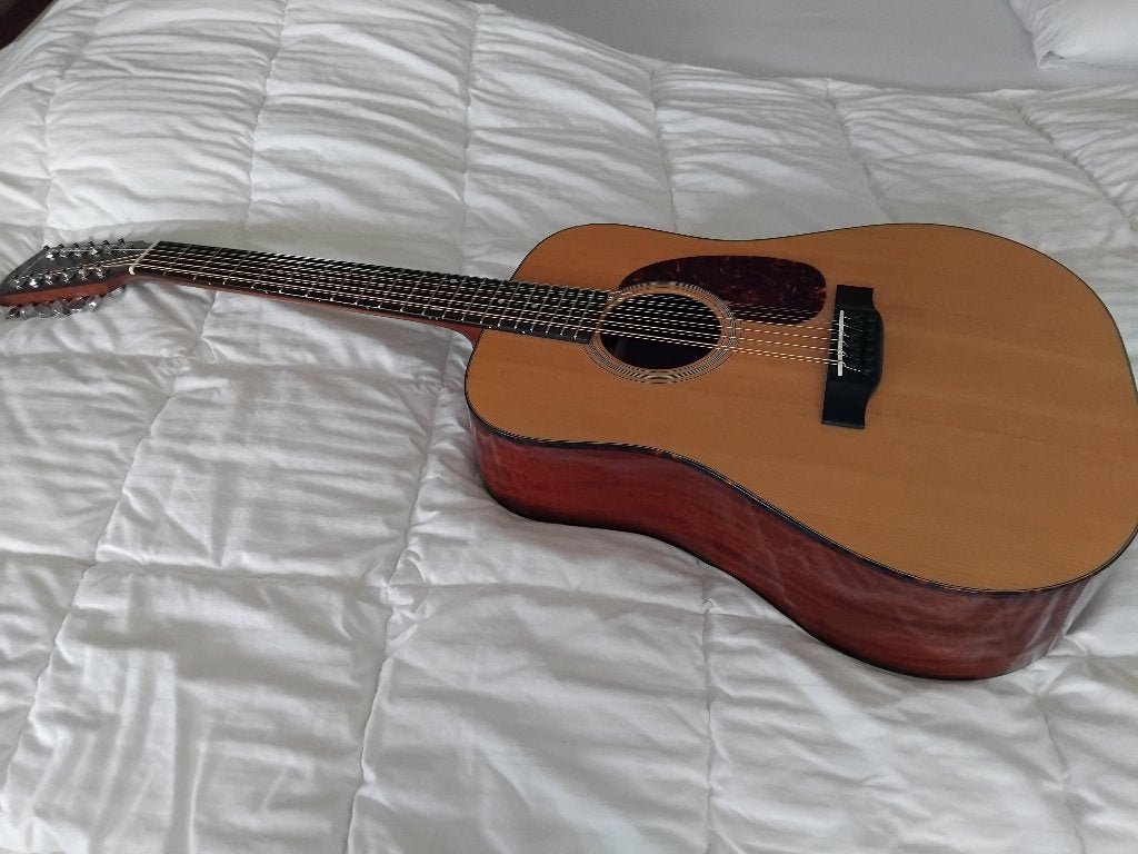 Eastman E1D-12-DLX en Taylor 214ce DLX, Ophalen, Zo goed als nieuw, Western- of Steelstringgitaar, 12-snarig