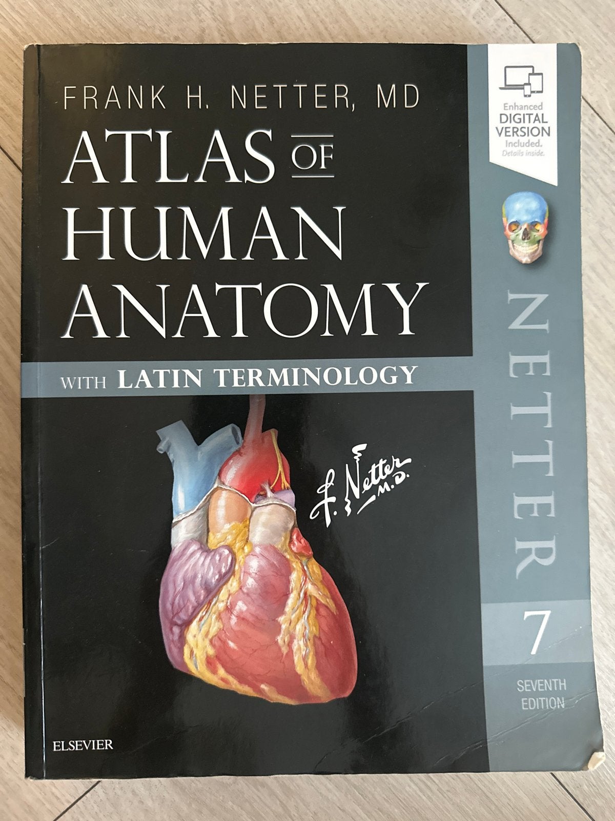 Atlas of Human Anatomy - Netter 7e (Engels), Ophalen of Verzenden, Beta, Zo goed als nieuw, HBO
