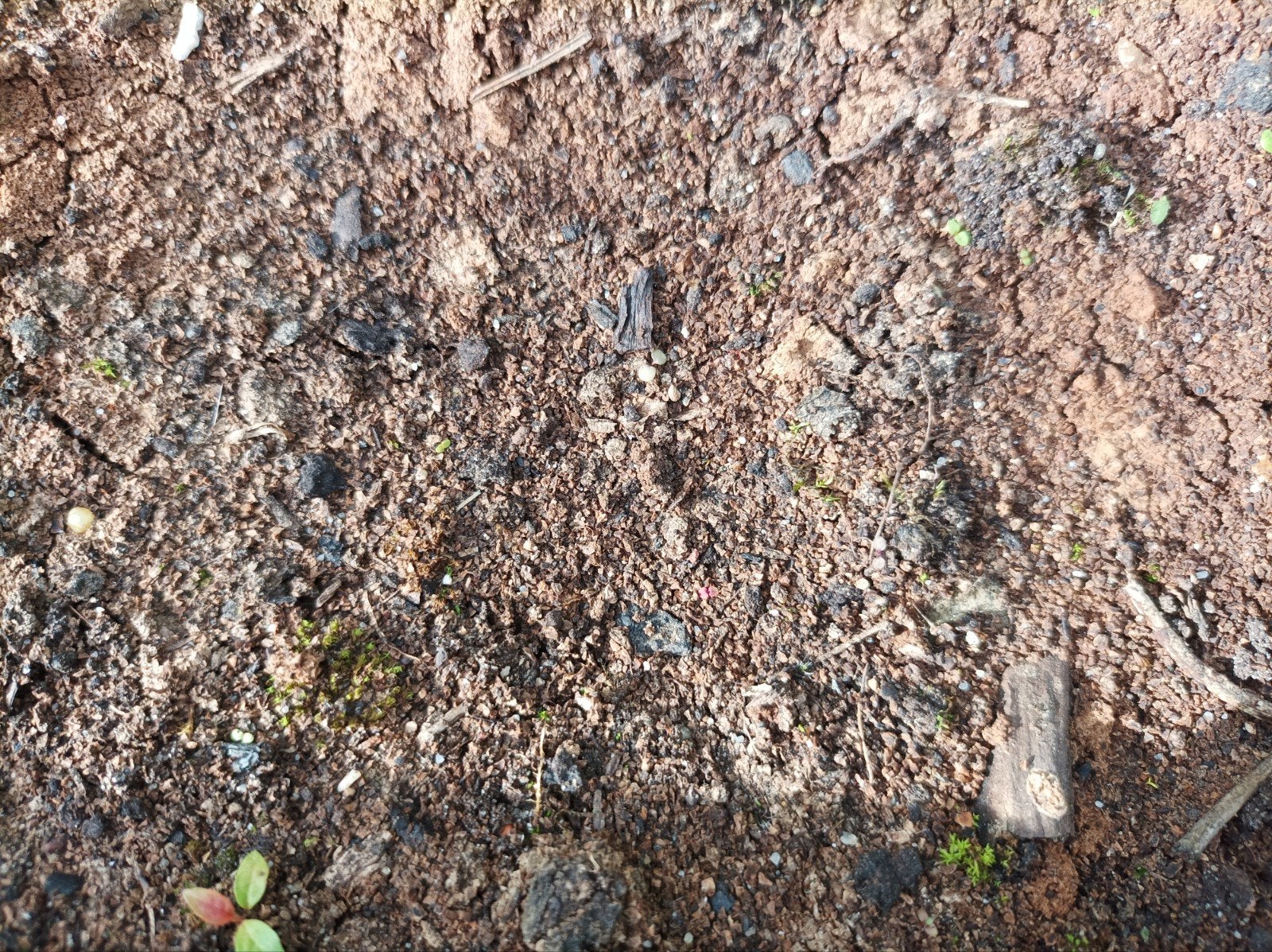 schone grond vulgrond ophoog vijver trampoline, Tuin en Terras, Ophalen