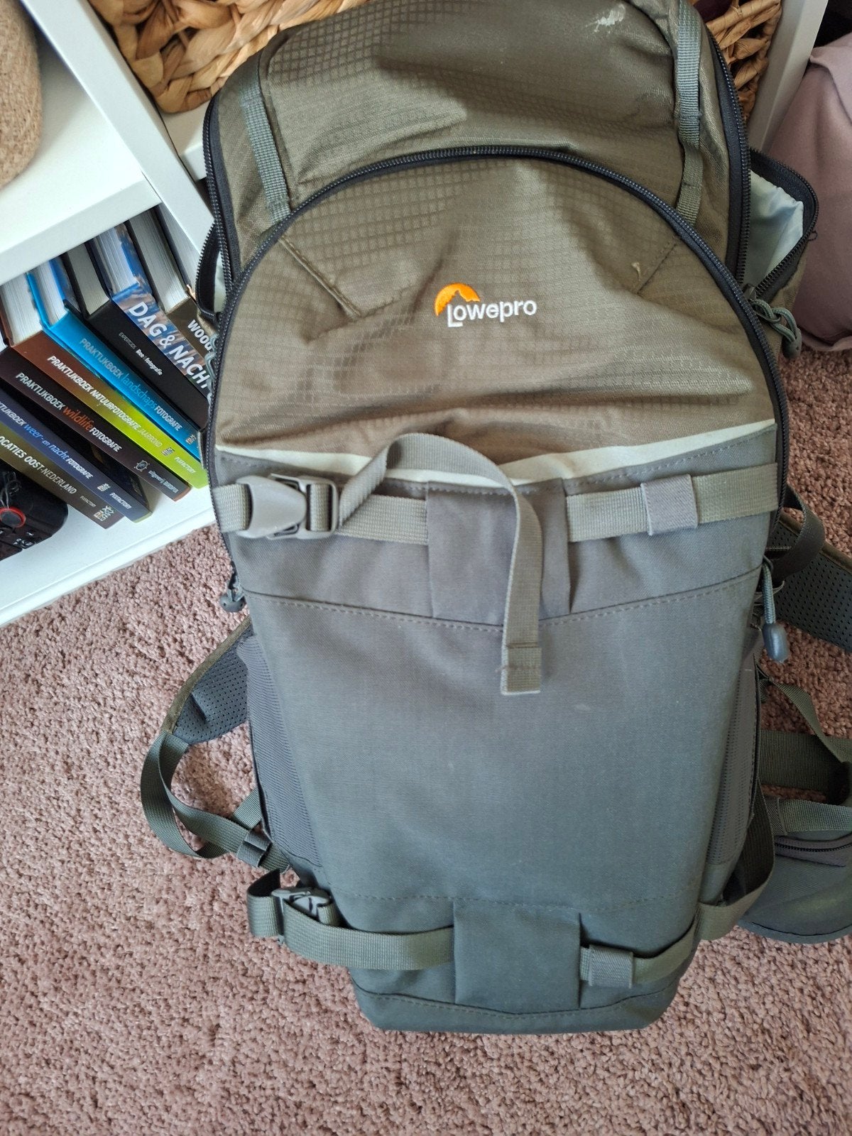 Lowepro Flipside 350 trek bp AW  Cameratas Rugzak Grijs/Gr, Ophalen, Rugtas, Zijvakken, Grijs