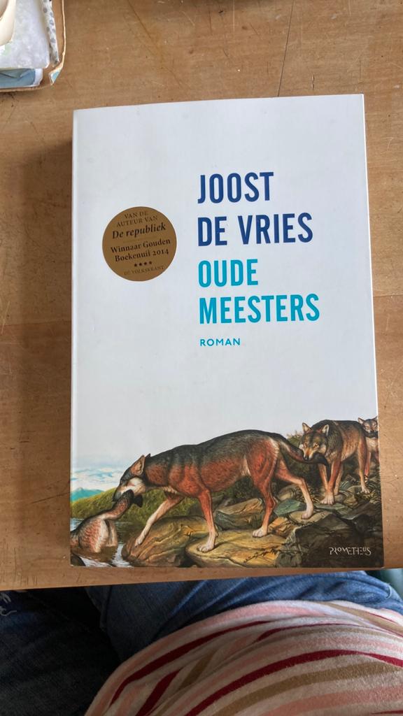 Joost de Vries - Oude meesters, Boeken, Ophalen of Verzenden, Zo goed als nieuw, Nederland, Joost de Vries