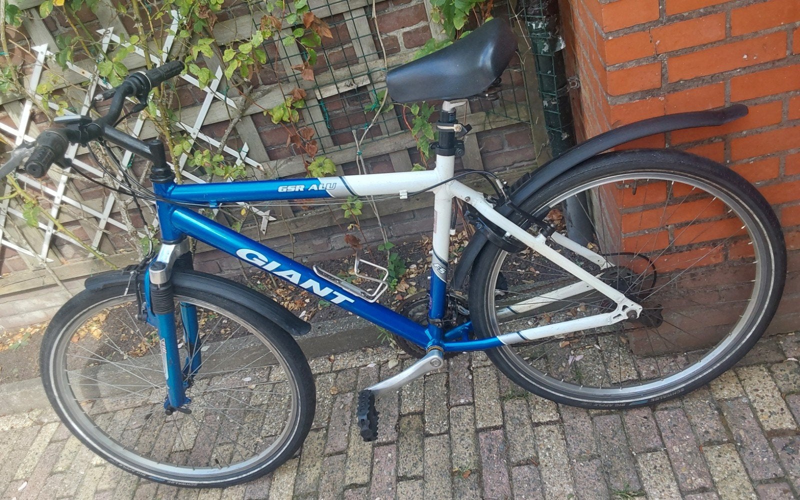 Gigant mountainibike 21 vers., Ophalen, Gebruikt, Giant