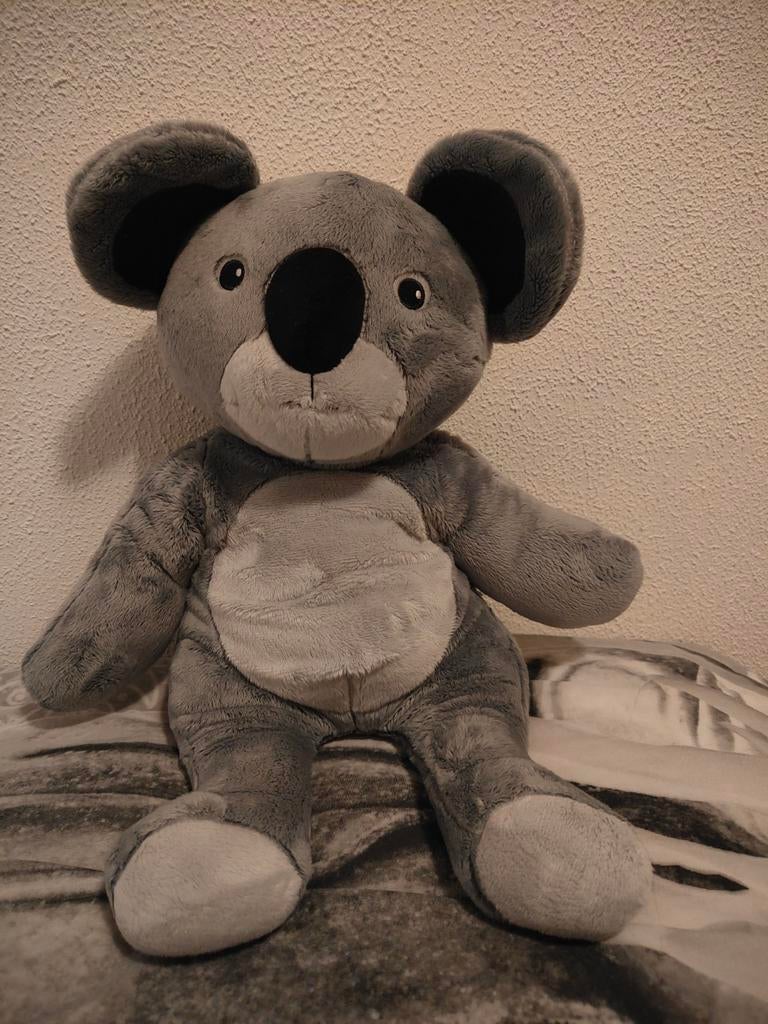 Officieel lotgenootje koala, Kinderen en Baby's, Speelgoed | Knuffels en Pluche, Ophalen, Zo goed als nieuw, Overige typen