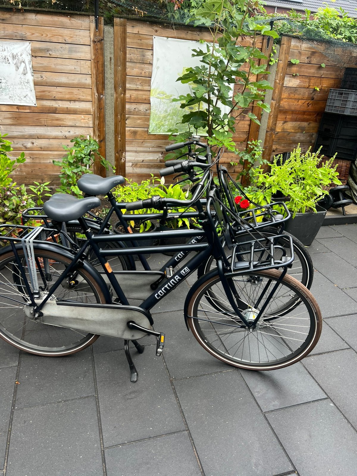 Twee Cortina heren of jongensfiets frame 57&61 cm 7 vers, Versnellingen, Zo goed als nieuw, 57 tot 61 cm, Trommelrem