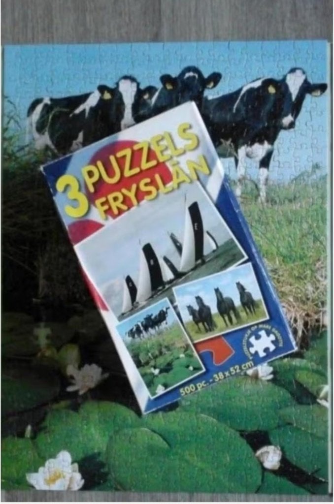 3 puzzels Fryslân, Ophalen, 500 t/m 1500 stukjes, Zo goed als nieuw, Legpuzzel
