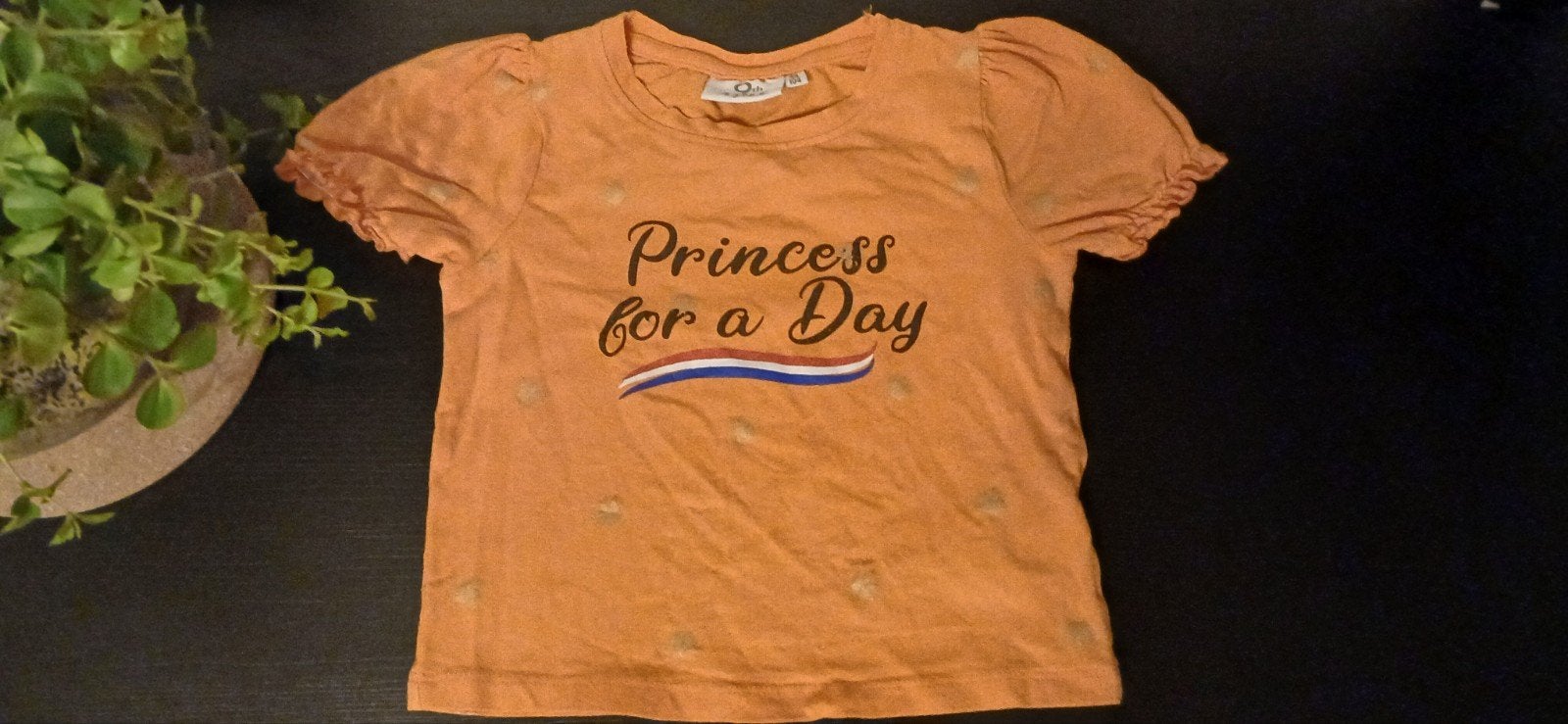Oranje shirt maat 98, Kinderen en Baby's, Kinderkleding | Maat 98, Ophalen of Verzenden, Nieuw, Jongen of Meisje, Shirt of Longsleeve