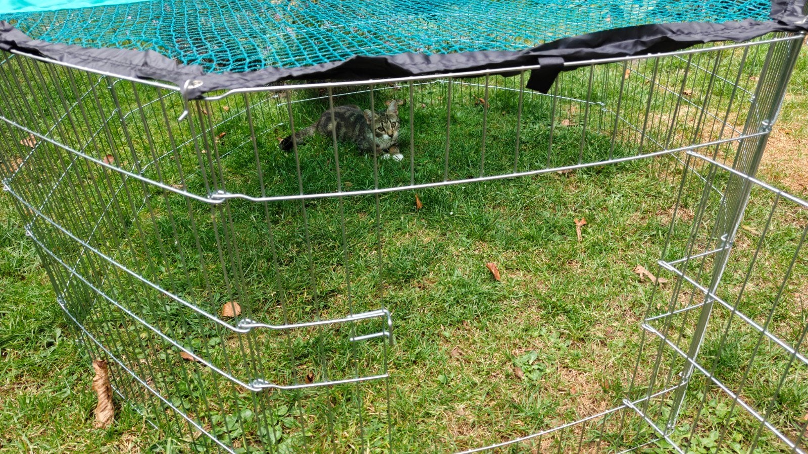 ren, roestvrij staal, voor kleine huisdieren. Opvouwbaar., Ophalen, 110 cm of meer, Overige typen, Zo goed als nieuw