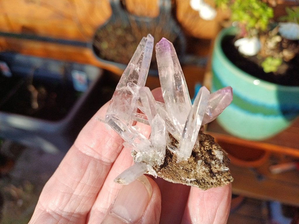 VC5 Amethyst Mine de Vera Cruz Las Vigas de Ramirez Mexico, Ophalen of Verzenden, Mineraal