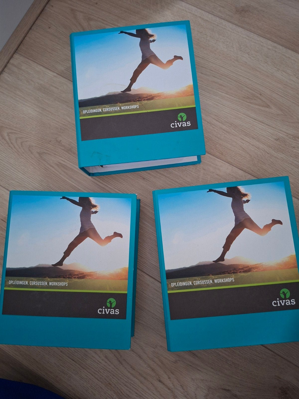 Civas kindercoaching, Boeken, Ophalen of Verzenden, Beta, Zo goed als nieuw