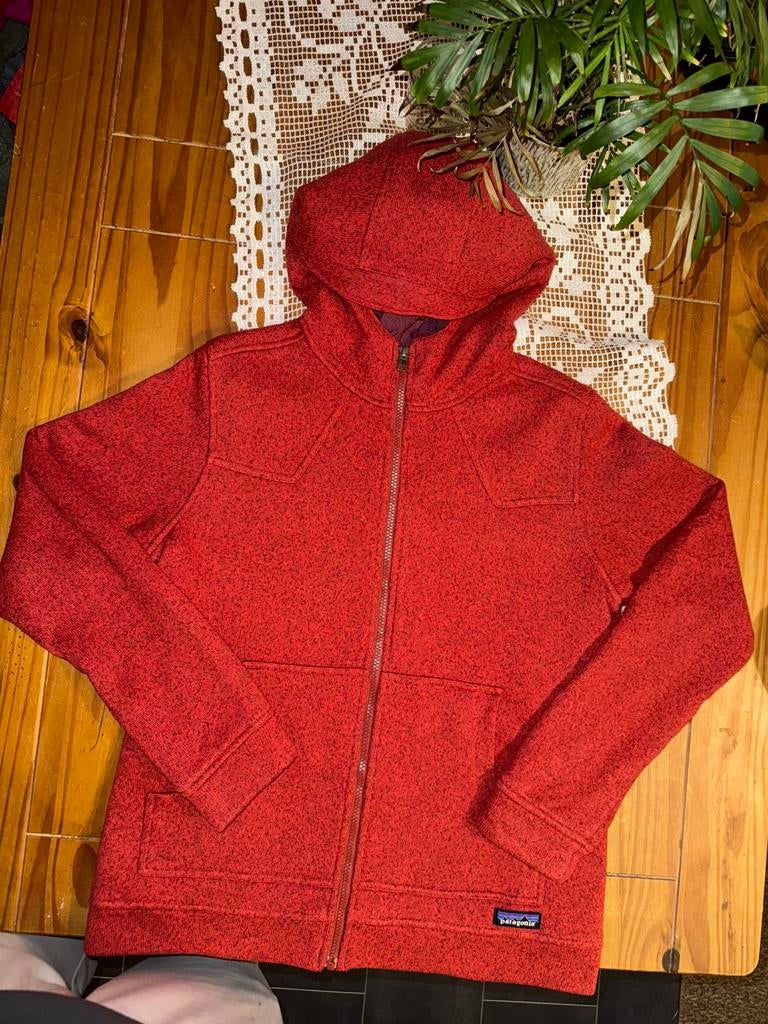 Patagonia Better Sweater Insulated Hoodie, Ophalen of Verzenden, Zo goed als nieuw, Maat 42/44 (L), Rood