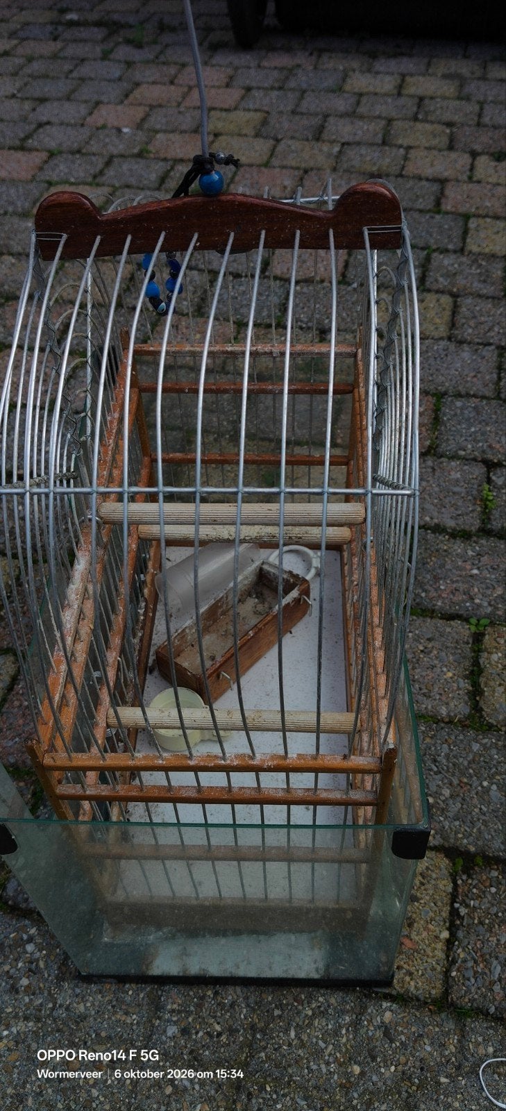 Tropische zangvogel kooi, Dieren en Toebehoren, Ophalen, Gebruikt, Metaal, Vogelkooi