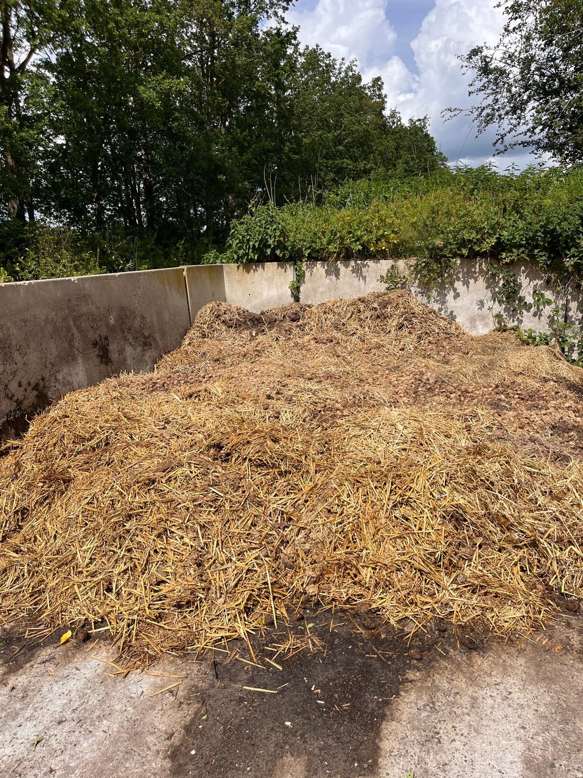 Paardenmest voor uw tuin of moestuin, Ophalen, Mest