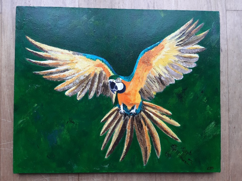 Schilderij Ara / Papegaai (50 x 40 cm.), Ophalen, Oorspronkelijke maker, Nieuw, Schilderij