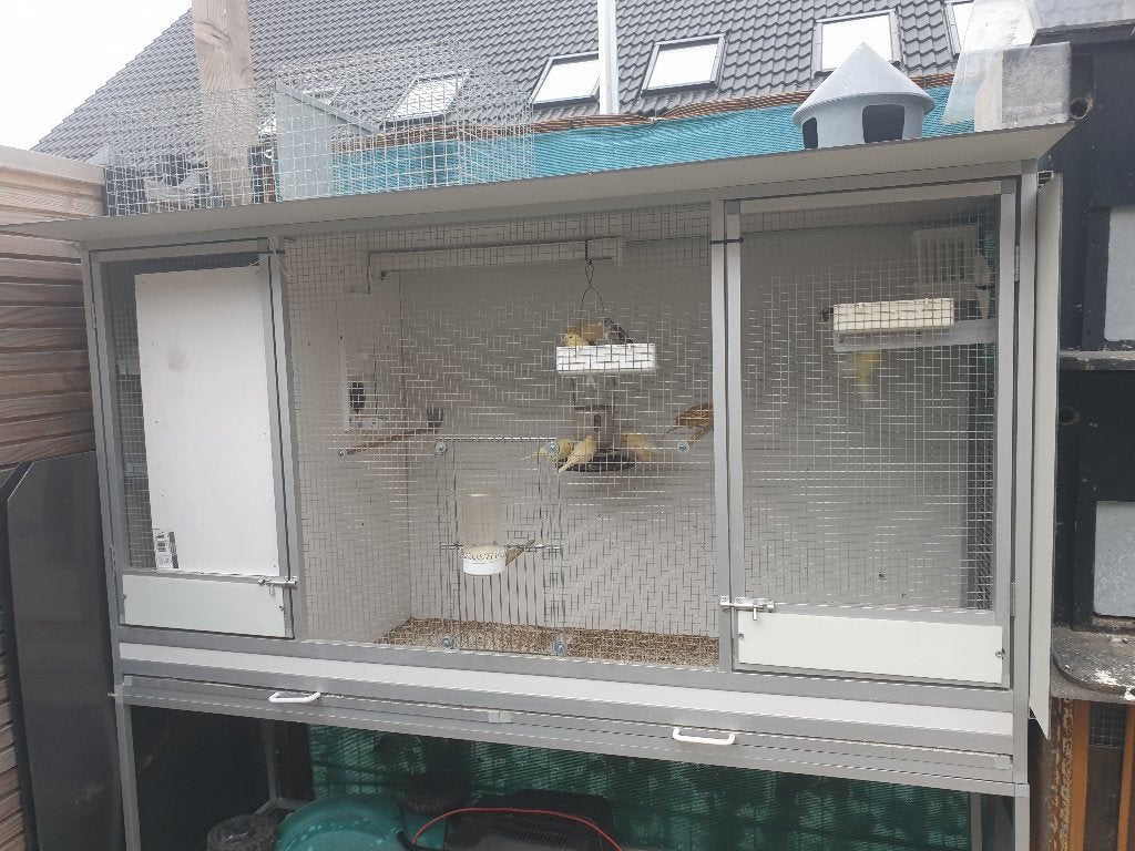 Volière vogelkooi  met kanaries, Dieren en Toebehoren, Vogels | Hokken en Kooien, Ophalen, Zo goed als nieuw, Aluminium, Vogelkooi