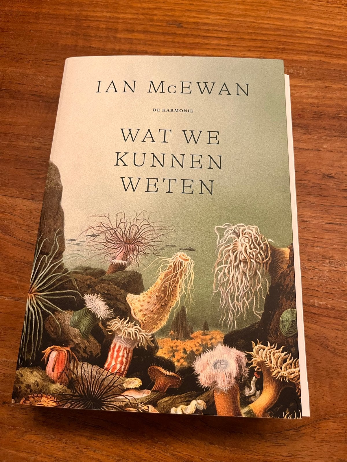 Wat We Kunnen Weten - Ian McEwan (De Harmonie), Ophalen of Verzenden, Zo goed als nieuw, Nederland