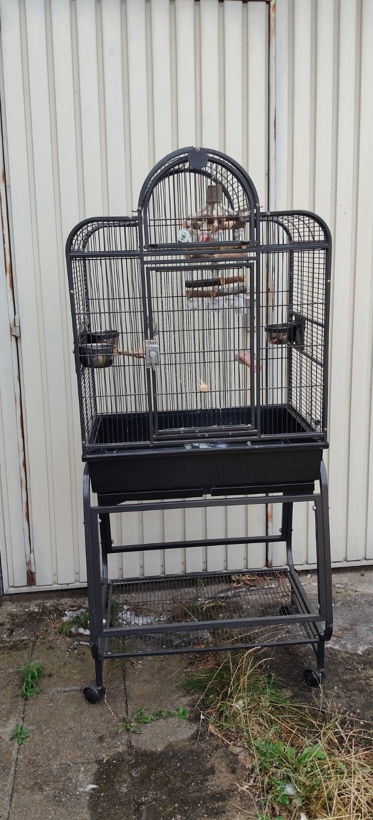 verschillende soorten vogelkooien te koop, Dieren en Toebehoren, Ophalen, Zo goed als nieuw, Metaal, Vogelkooi
