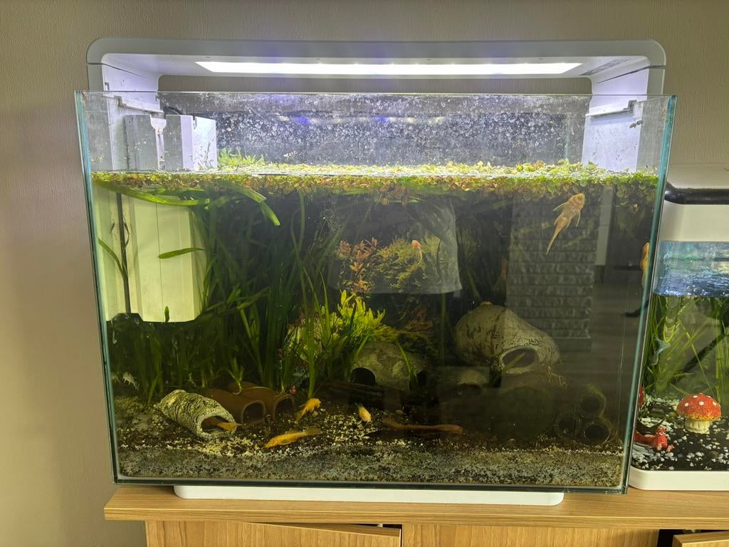 superfish home 85, Dieren en Toebehoren, Vissen | Aquaria en Toebehoren, Ophalen, Zo goed als nieuw, Leeg aquarium