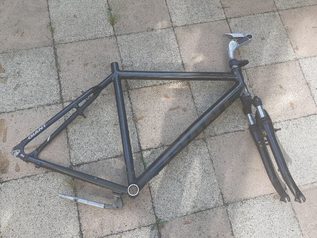 Giant Leader Frame Aluxx size: Large, Ophalen, Gebruikt, Velgrem, Versnellingen