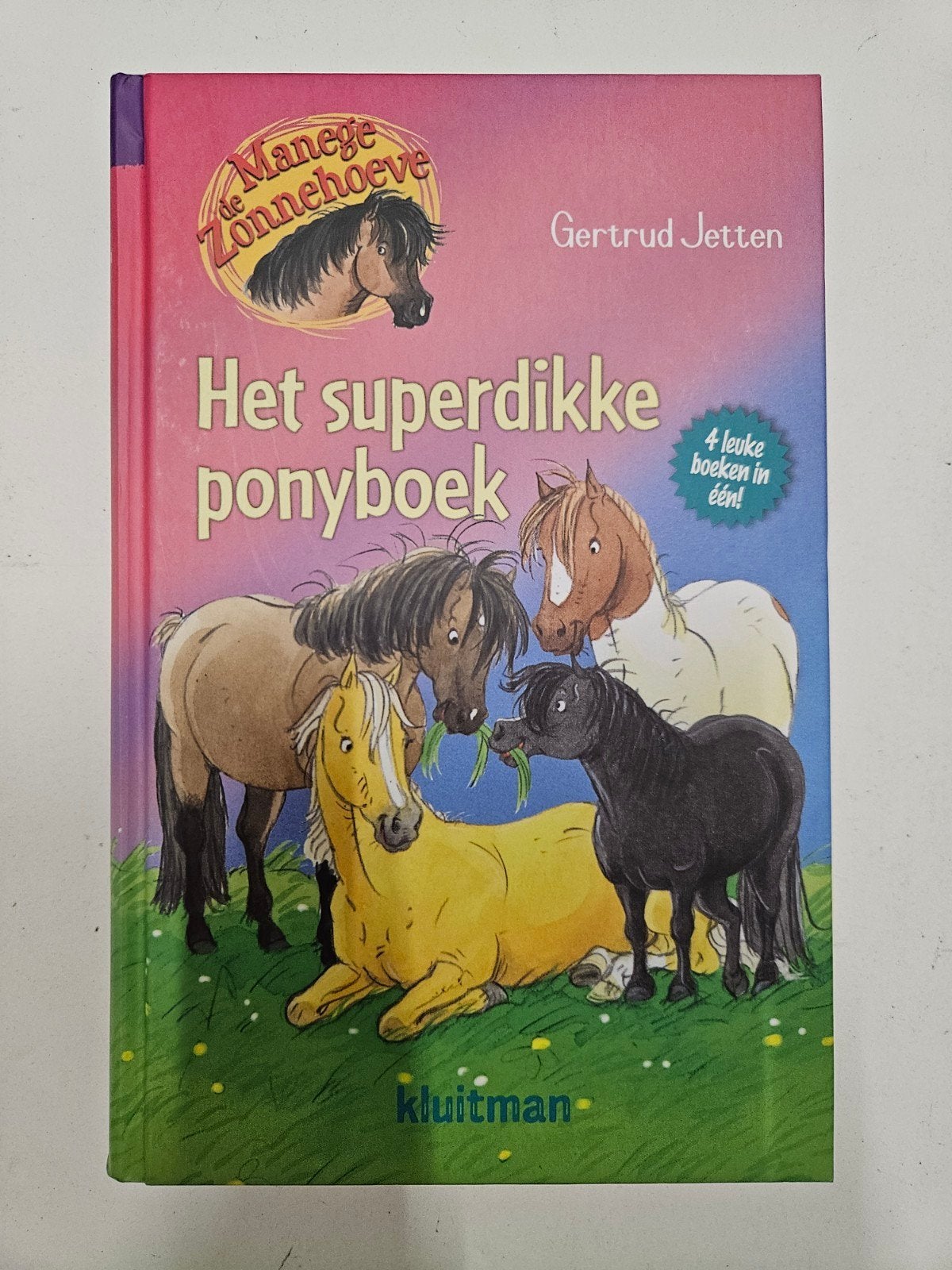 Gertrud Jetten - Het superdikke ponyboek, Fictie algemeen, Ophalen of Verzenden, Zo goed als nieuw, Gertrud Jetten