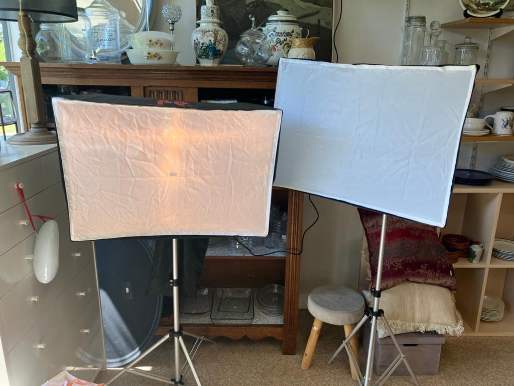 FalconEyes SS-200F Studio Flitser met Softboxen en Statieven, Audio, Tv en Foto, Fotografie | Fotostudio en Toebehoren, Ophalen