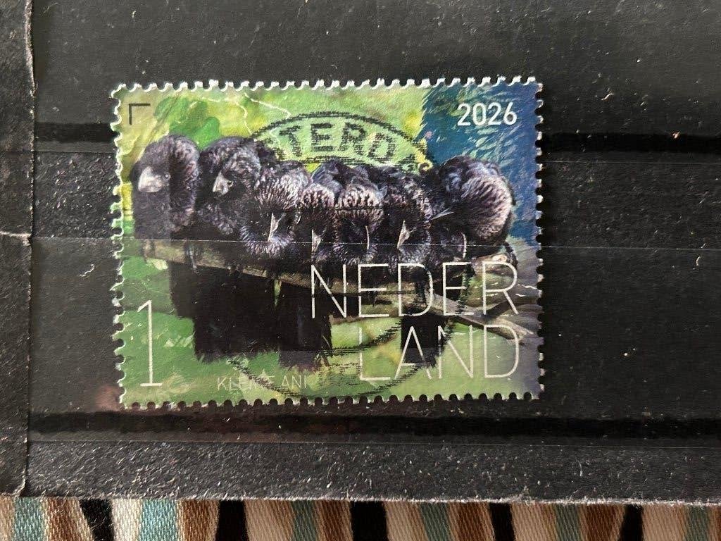 Nederland 2026. Vogel. Kleef Ani, Ophalen of Verzenden, Na 1940, Gestempeld