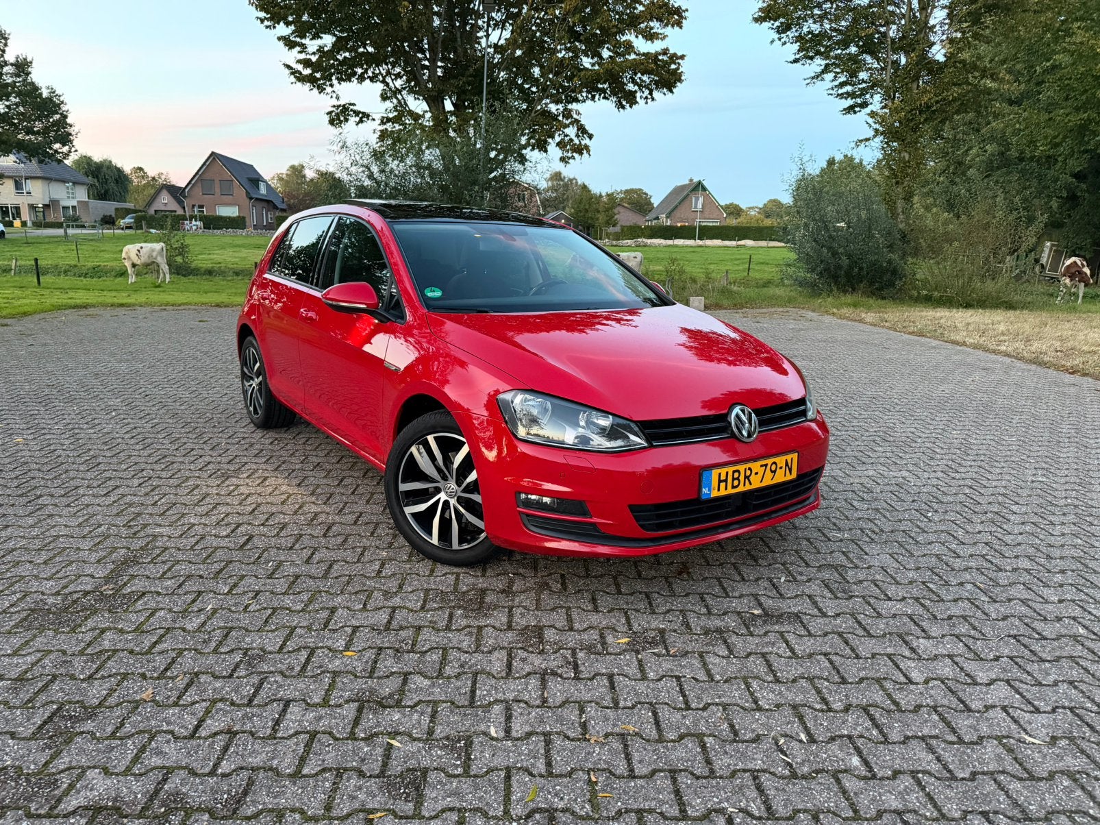 Volkswagen Golf 1.2 TSI 81KW 5D 2014 Rood cup edition, Auto's, Voorwielaandrijving, 4 cilinders, 610 kg, Handgeschakeld