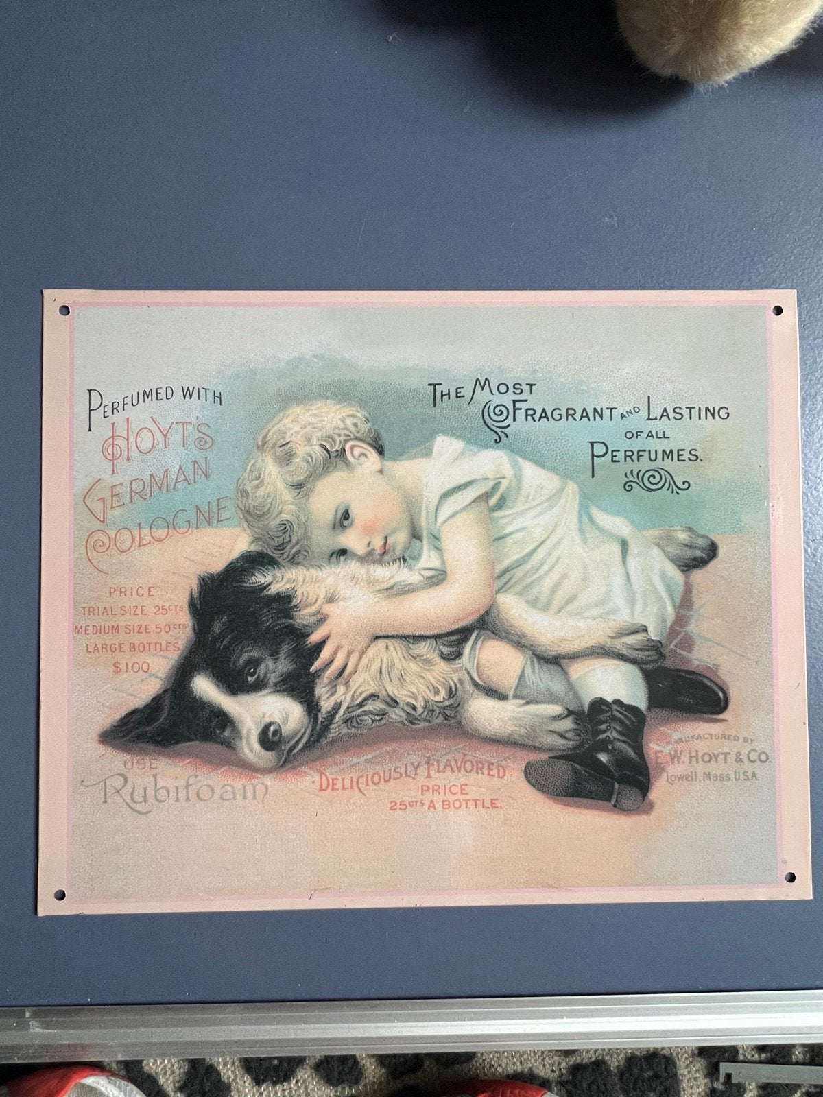 Vintage Hoyt's German Cologne reclamebord - Kind & Hond, Ophalen of Verzenden