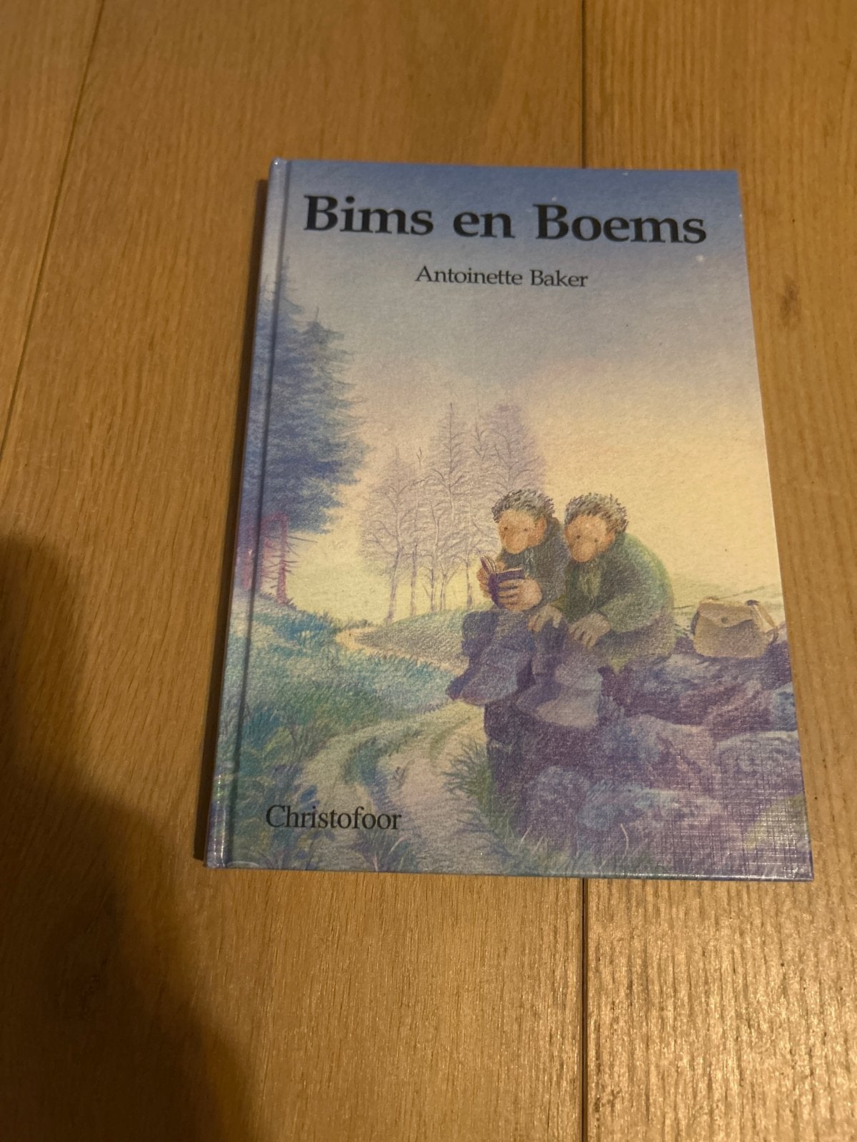 Bims en Boems - Antoinette Baker (Christofoor), Ophalen of Verzenden, Zo goed als nieuw, Fictie algemeen