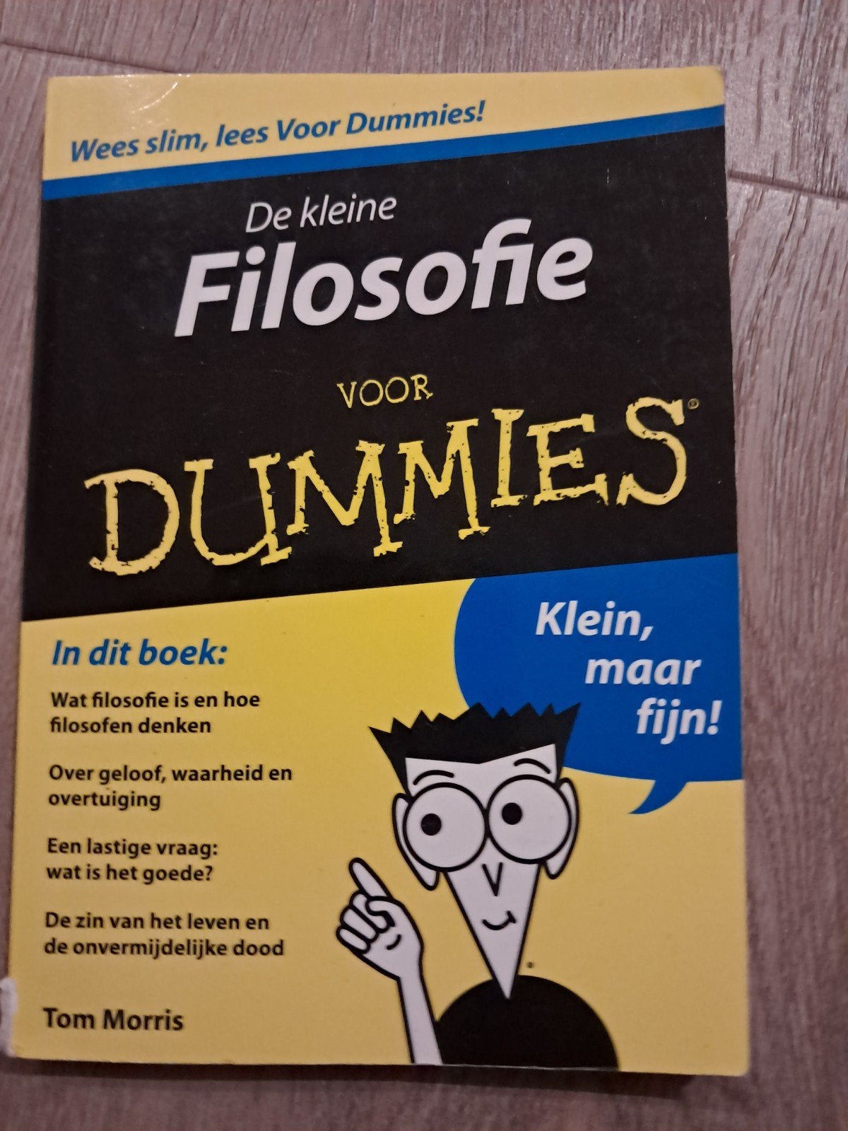 Tom Morris - De kleine Filosofie voor Dummies, Boeken, Wijsbegeerte of Ethiek, Ophalen of Verzenden, Zo goed als nieuw, Tom Morris
