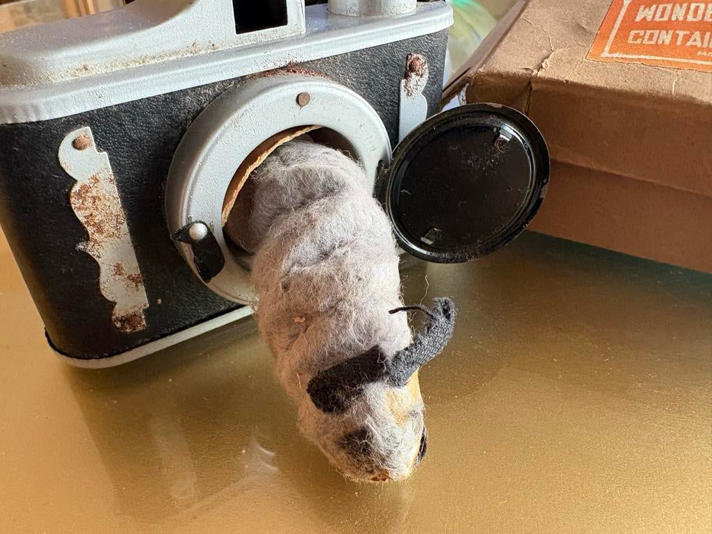 Vintage Wonder Camera met 'Cry Voice' muis speelgoed, Ophalen of Verzenden, Gebruikt, Jongen of Meisje