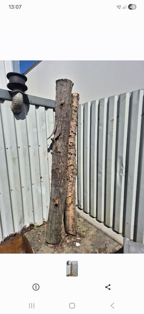 4 Eiken boomstammen, ca. 2.5m hoog, Ø 20-23cm, Doe-het-zelf en Verbouw, Hout en Planken, Ophalen