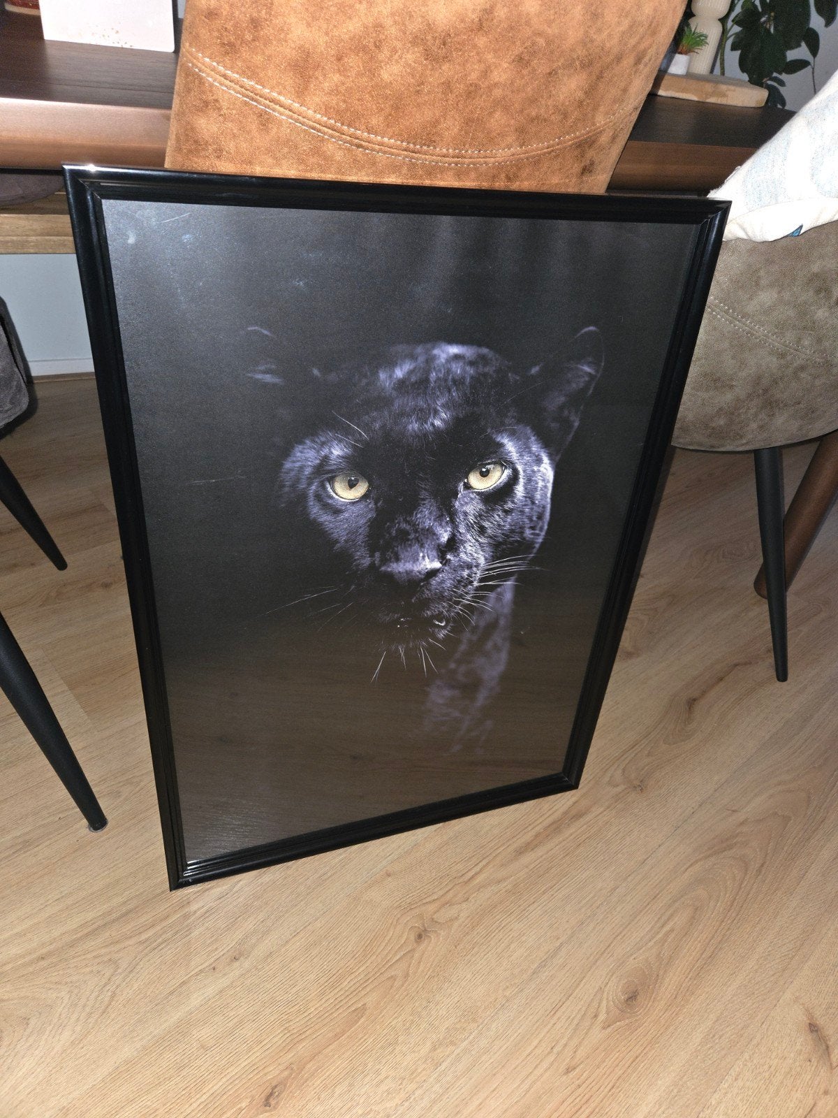 Schilderij zwarte panter, Ophalen, Schilderij