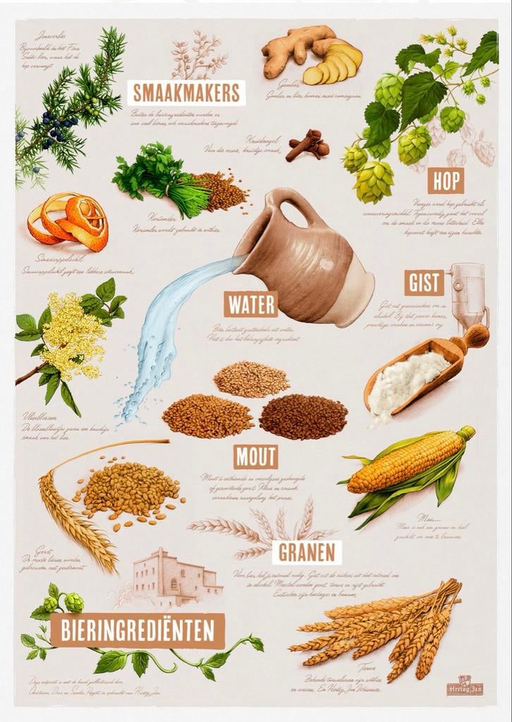 Hertog Jan Bieringrediënten Poster - 420x594 mm, Verzamelen, Biermerken, Ophalen of Verzenden, Zo goed als nieuw