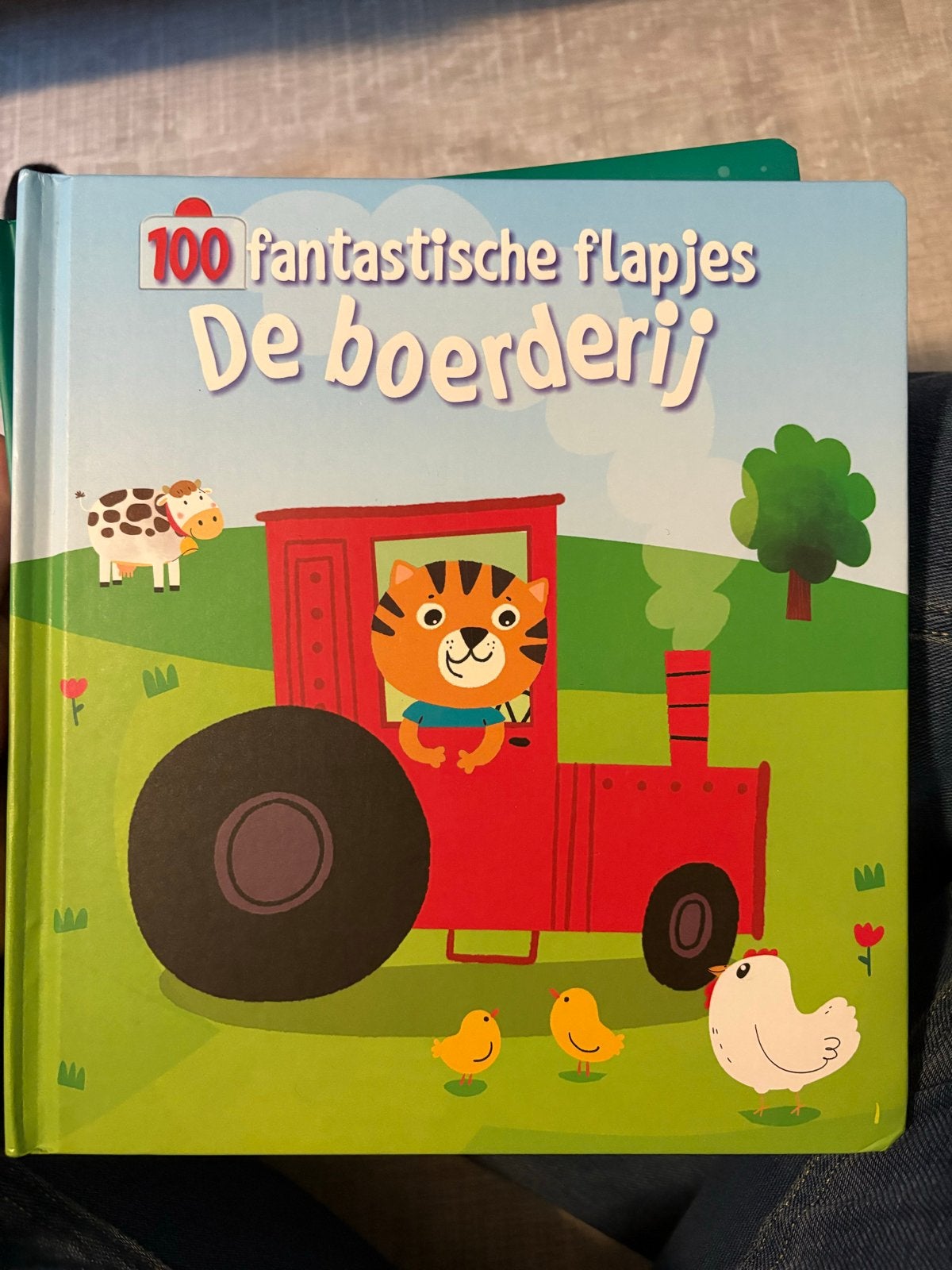 100 fantastische flapjes: De boerderij, Boeken, Non-fictie, Uitklapboek, Jongen of Meisje, Ophalen of Verzenden