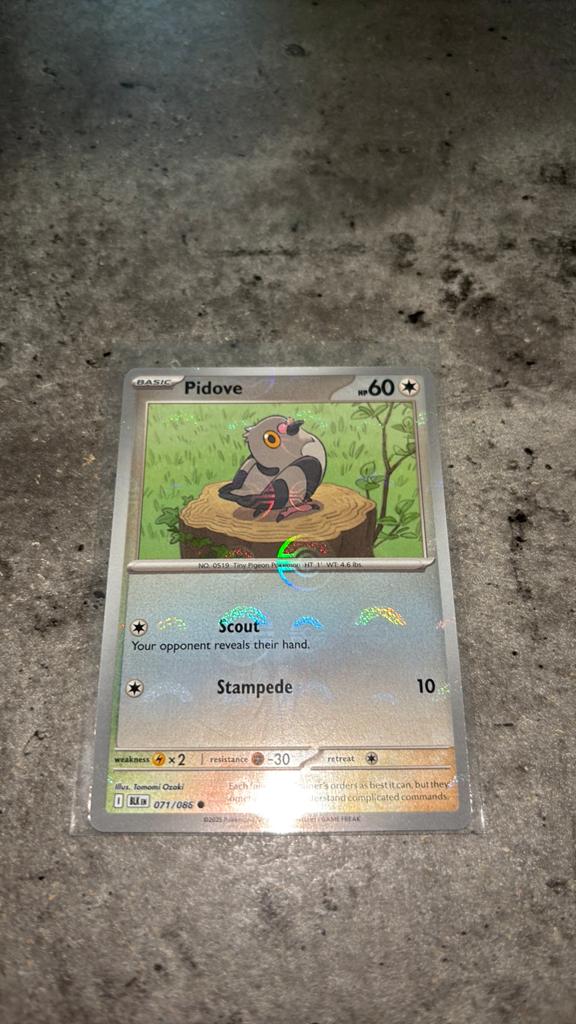 Pidove POKEBALL (071/086) Black Bolt, Verzenden, Zo goed als nieuw