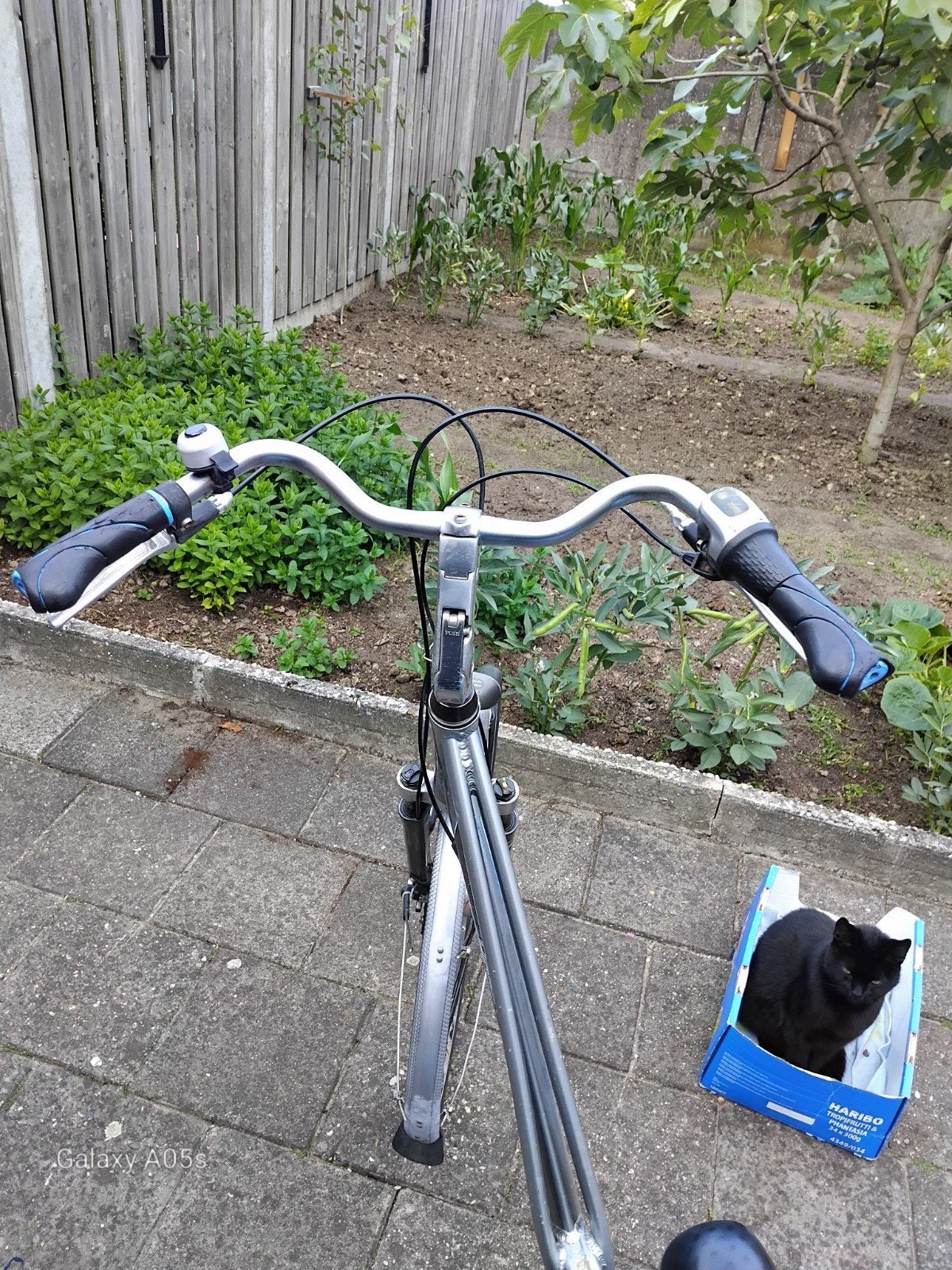 Dames fiets union, Ophalen of Verzenden, Gebruikt, Overige merken, Versnellingen