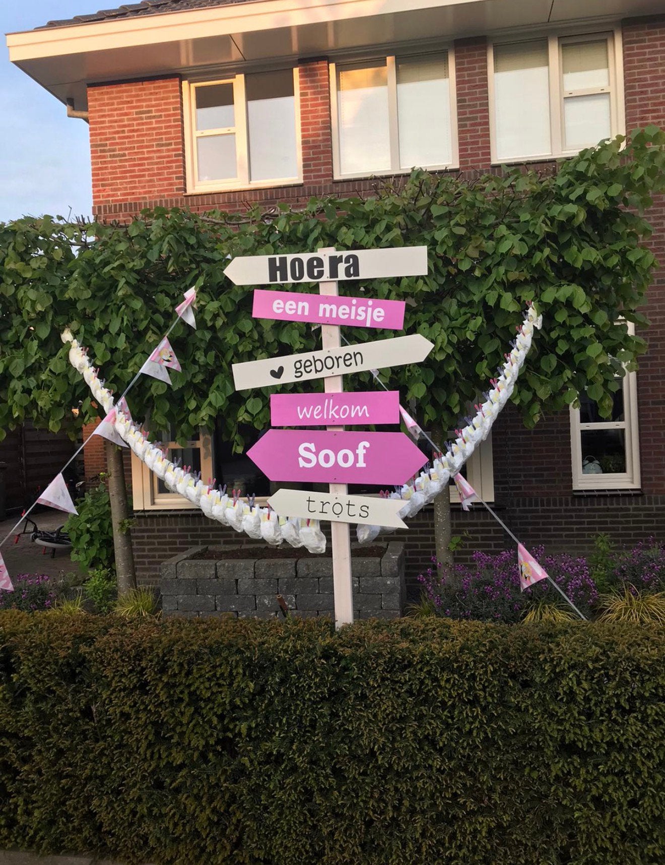 Te huur geboortebord meisje, Ophalen, Zo goed als nieuw